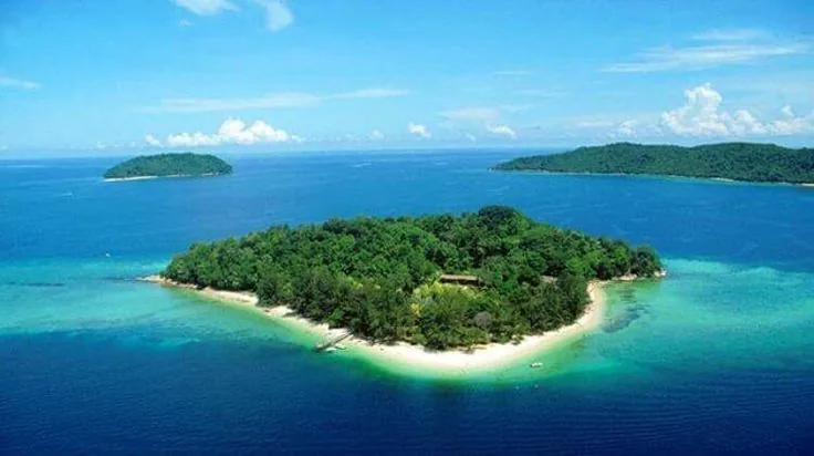 Aerial view of a forested island