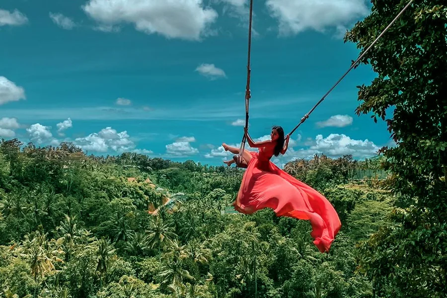 Bali jungle swing