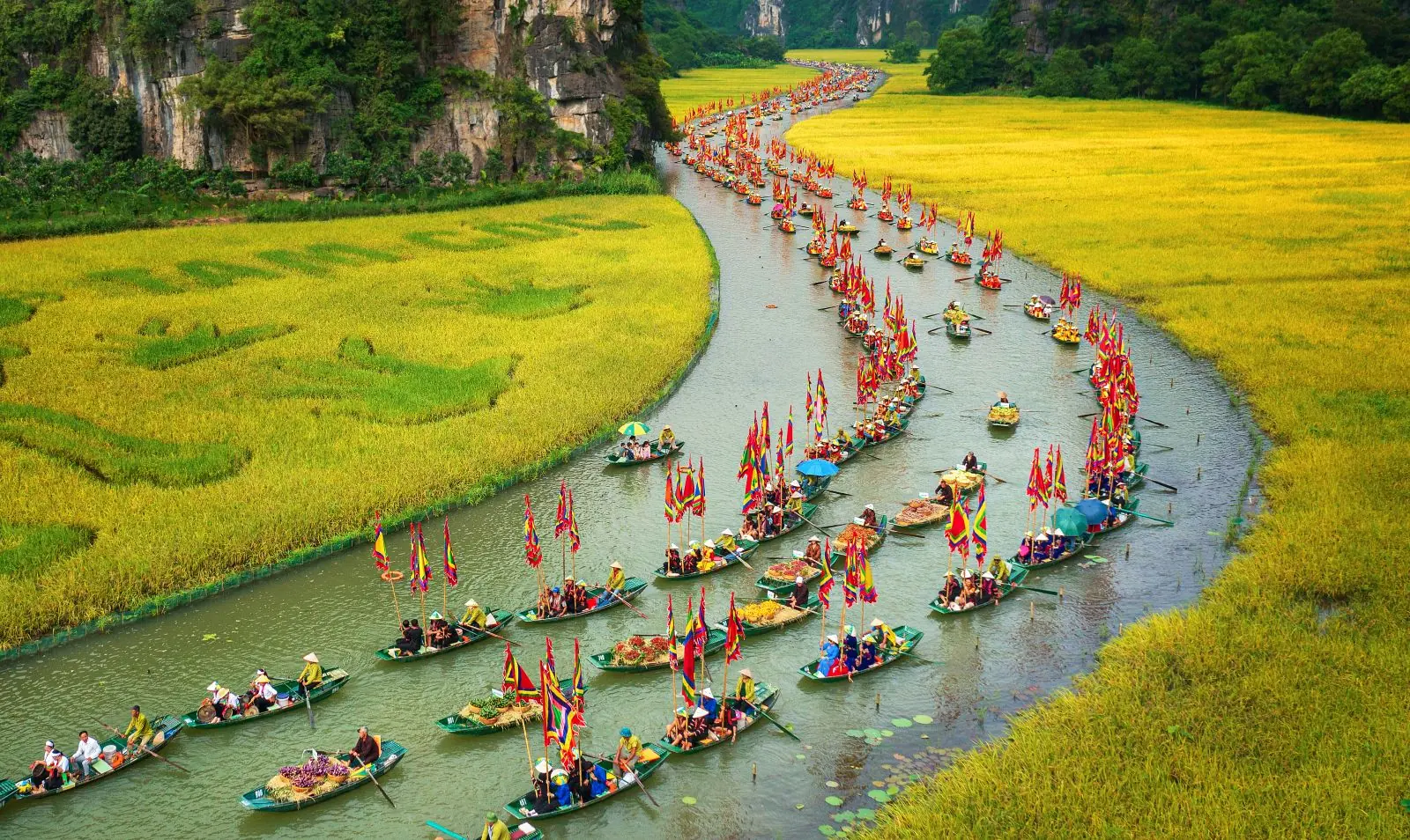 Boats among the rice fields of Ninh Binh