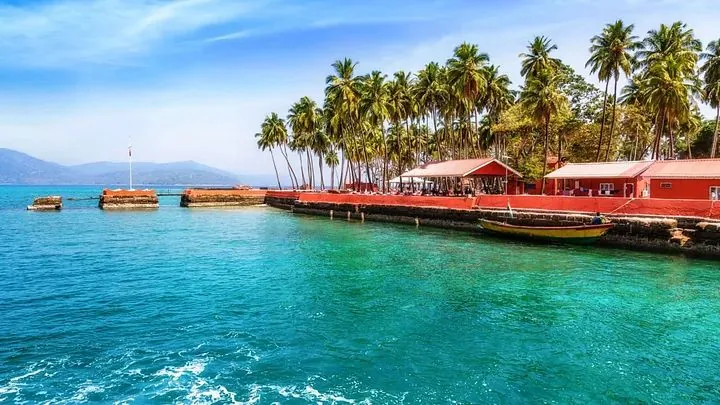 Boats beside a palm-lined shore