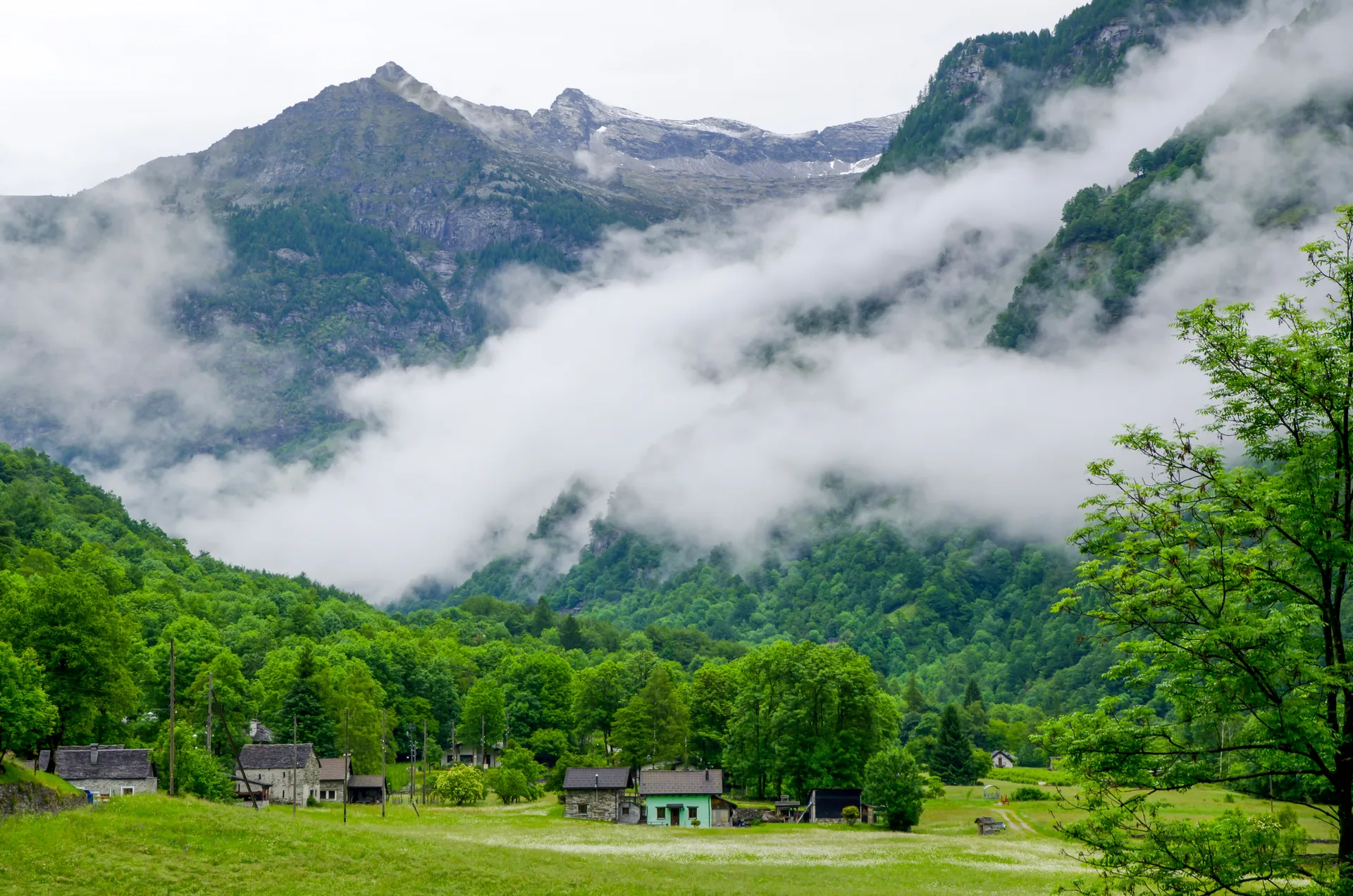 Misty mountain valley