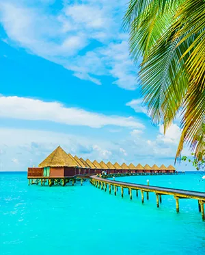 Overwater villas and palm trees