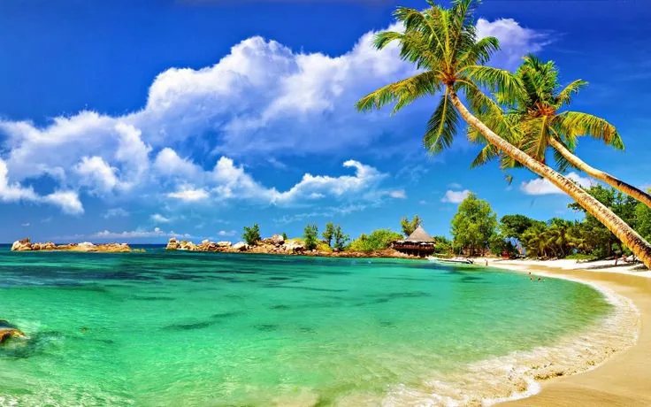 Palm-lined turquoise beach