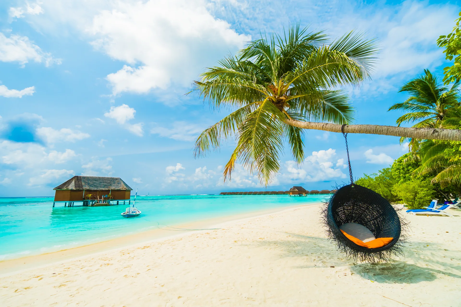Palm tree and swing on a tropical beach