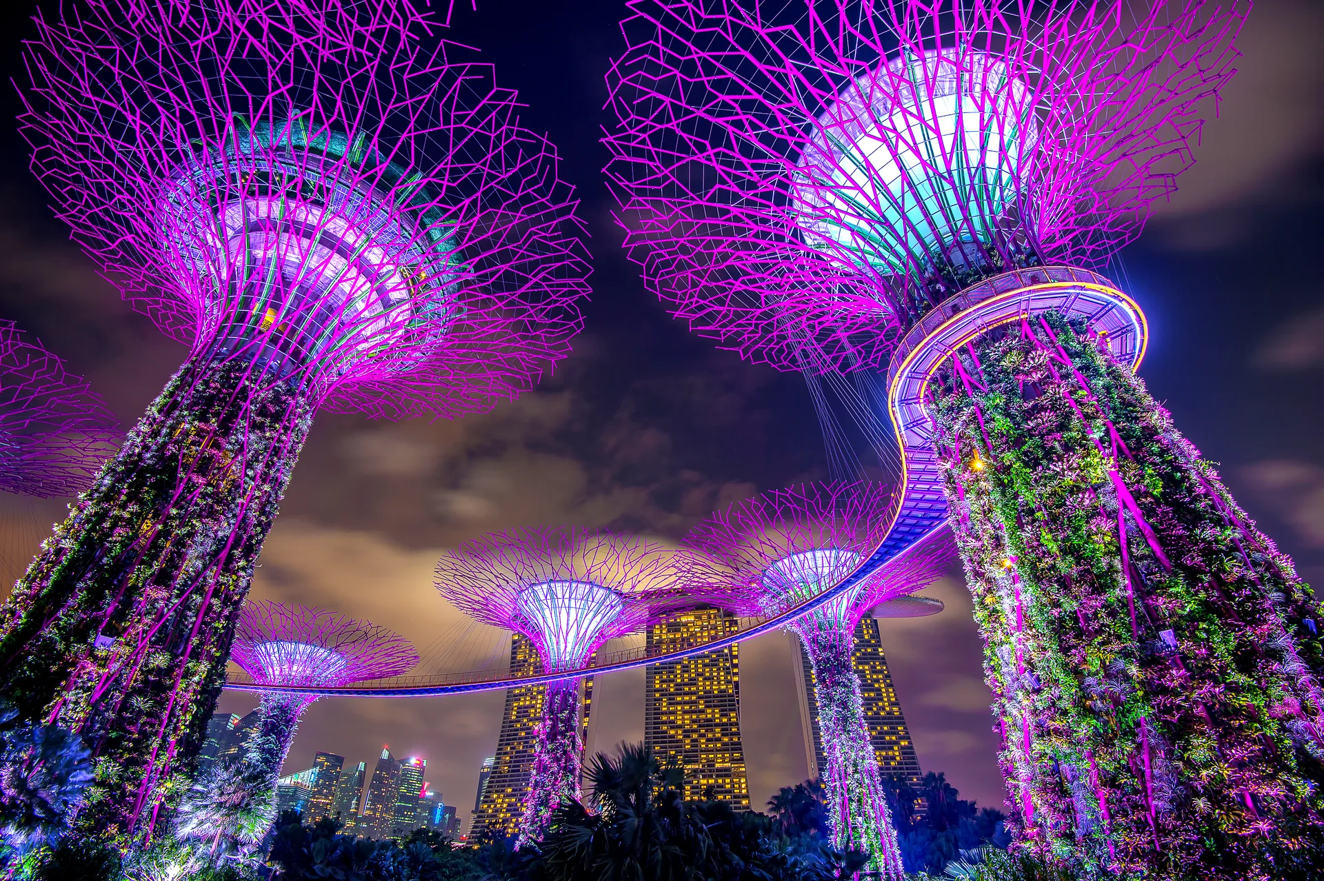 Supertree Grove illuminated at night