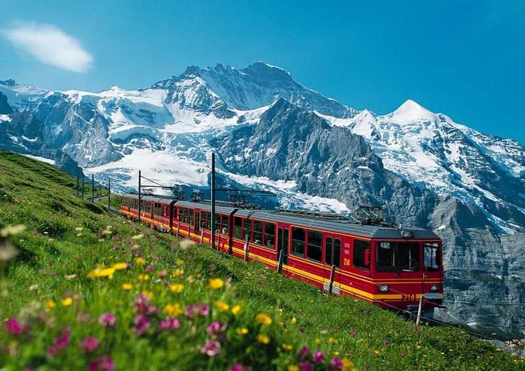 Train beneath alpine mountains